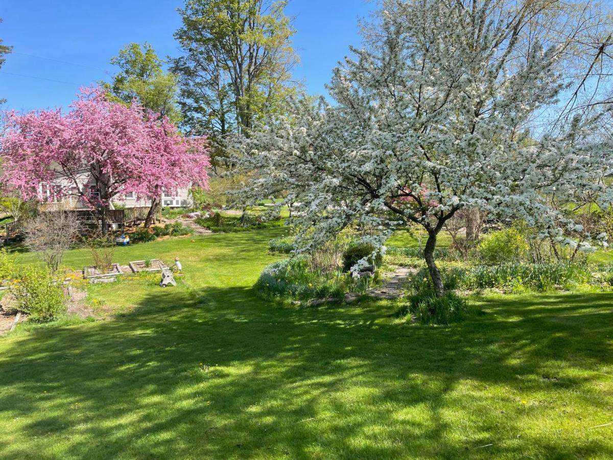 Wildflower Cottage Oxford المظهر الخارجي الصورة