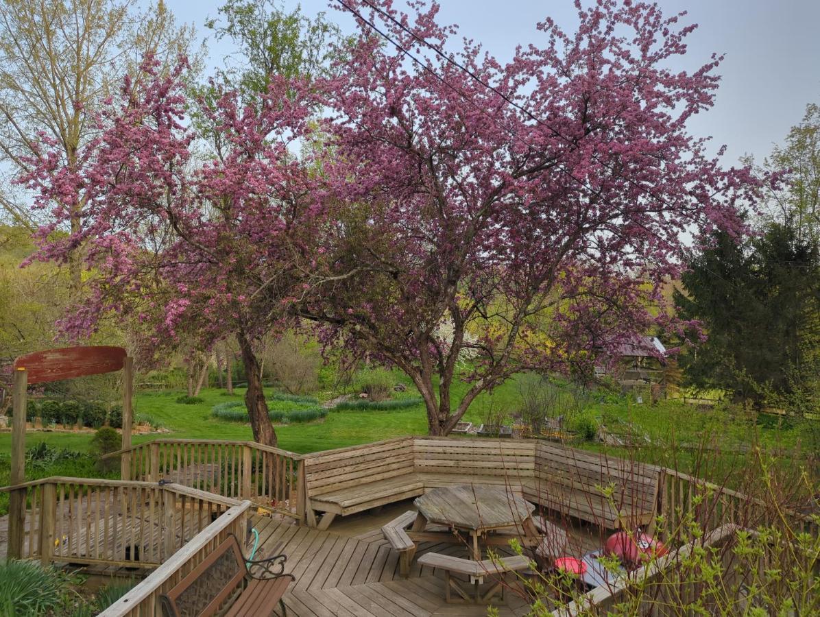 Wildflower Cottage Oxford المظهر الخارجي الصورة