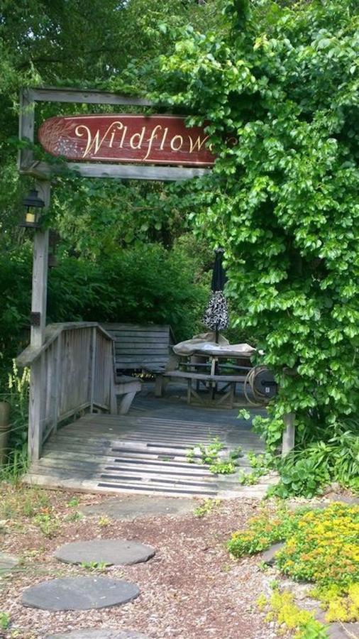 Wildflower Cottage Oxford المظهر الخارجي الصورة